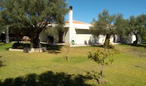 villa in Leykada,with cod:1261
